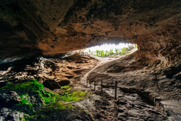 cueva-del-milodon-fondo-inicio
