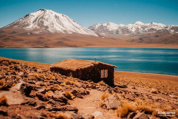 lagunas-altiplanicas-deserto-do-atacama-chile-19