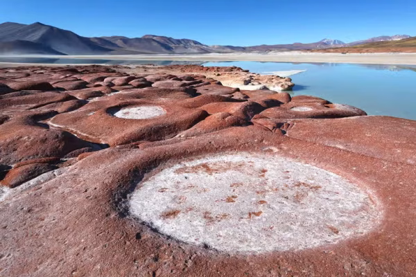 rojas atacama 1