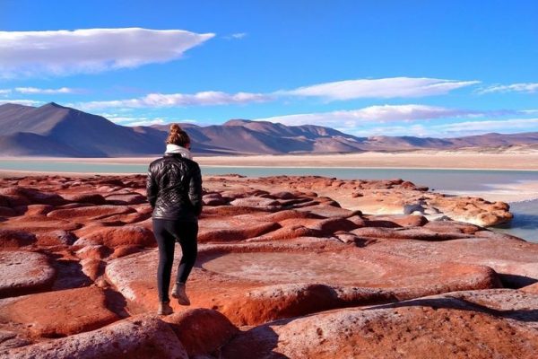 rojas atacama 2