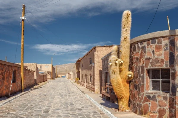 street-town-cariquima-giant-cacti-600nw-792357943
