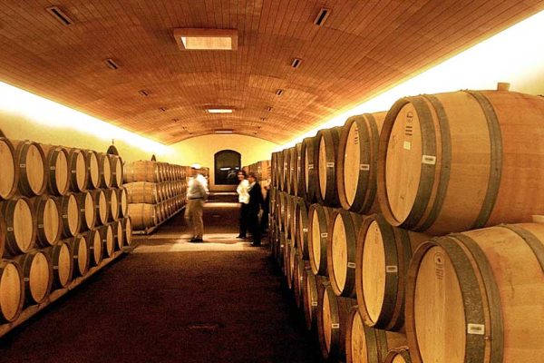 tour-vina-concha-y-toro